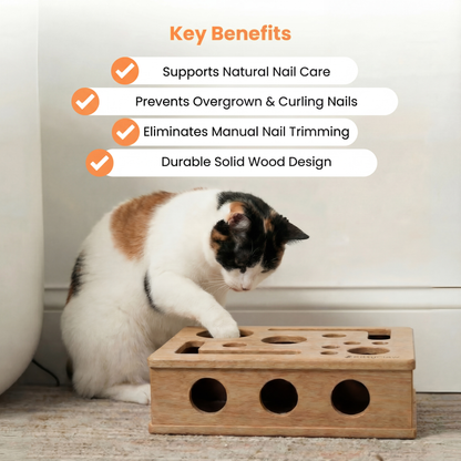 The KittyClaw™ Nail Care Kit