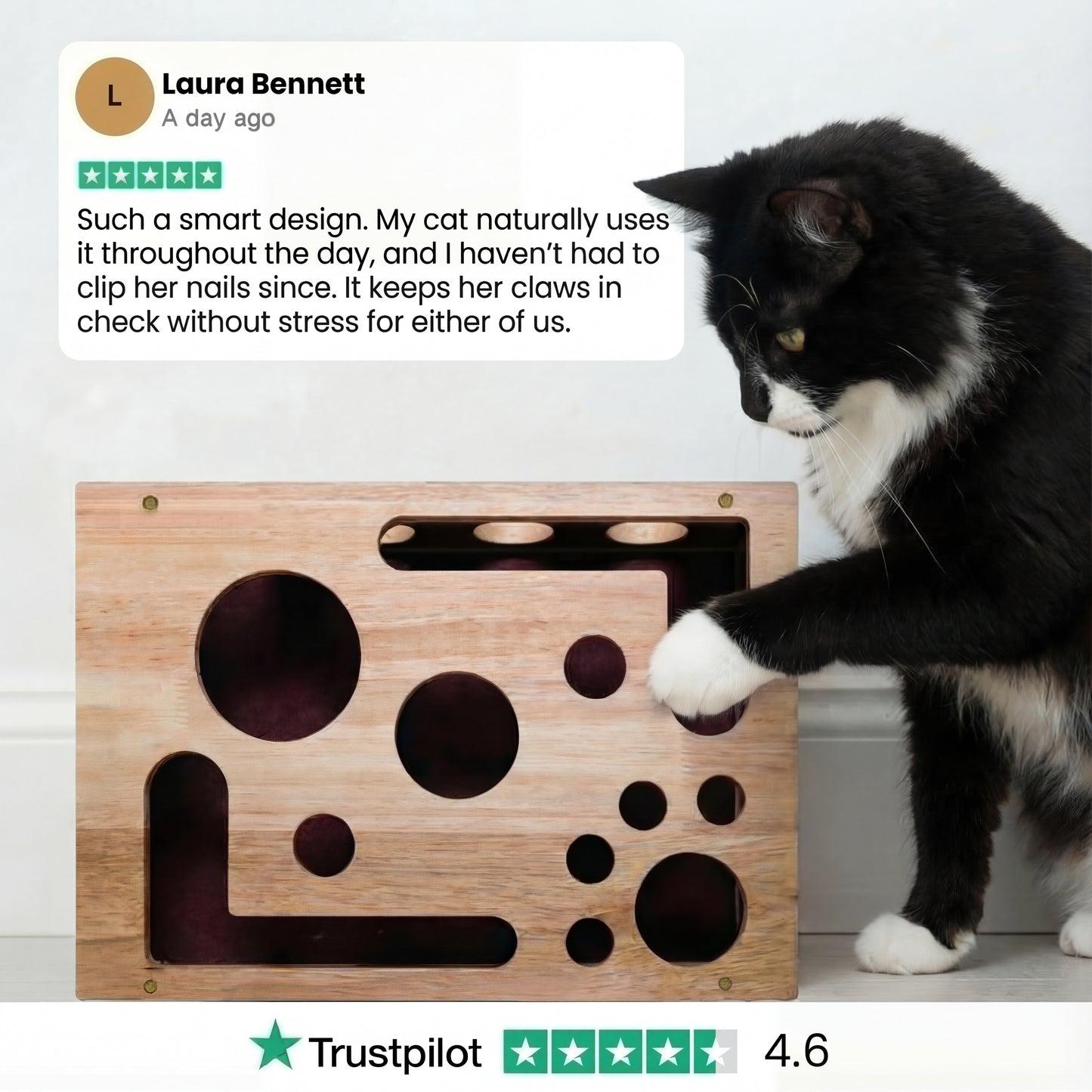 The KittyClaw™ Nail Care Kit