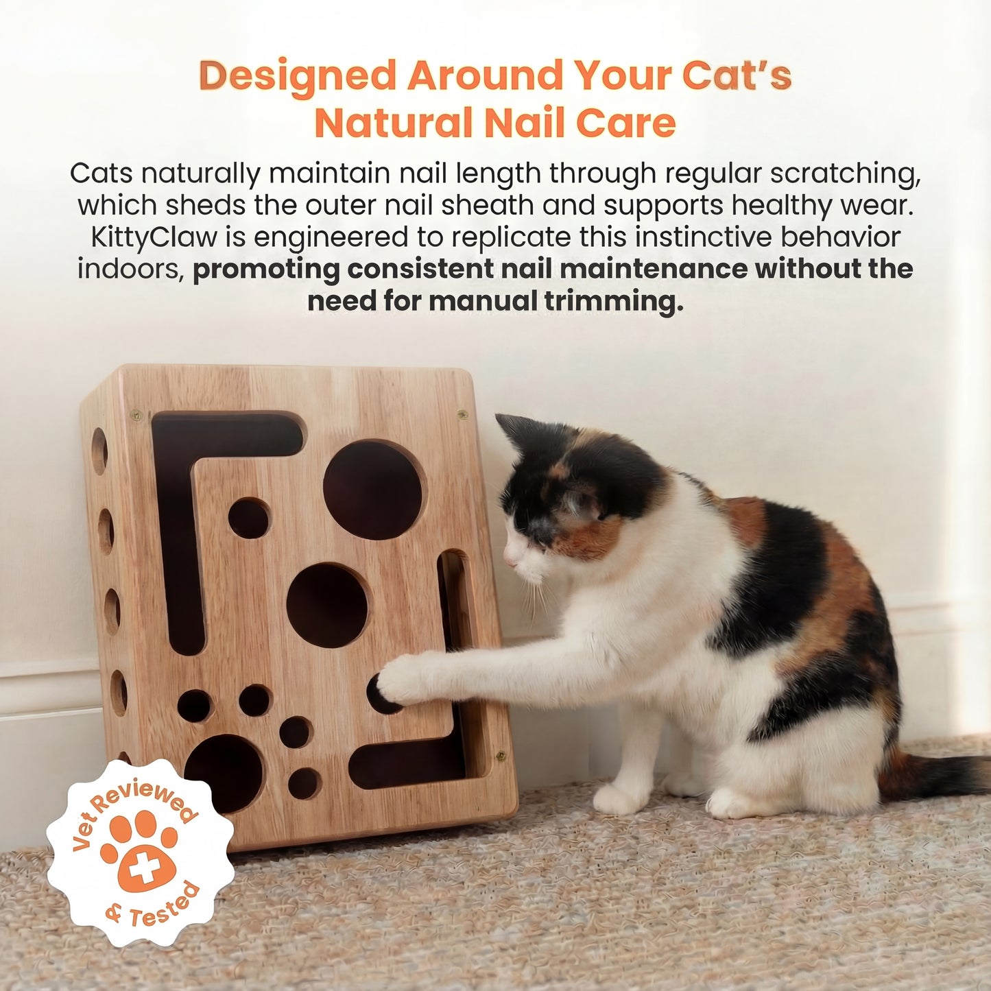 The KittyClaw™ Nail Care Kit