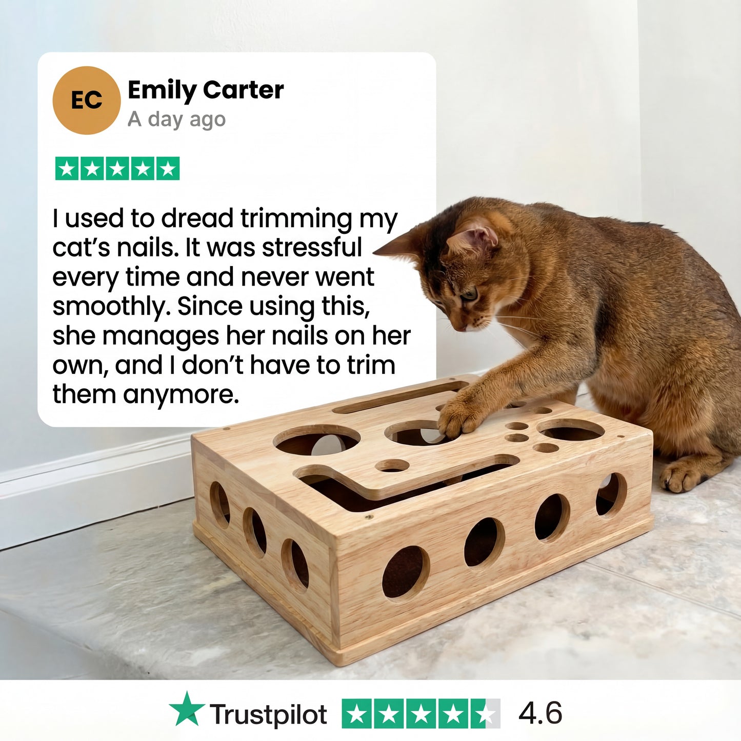 The KittyClaw™ Nail Care Kit