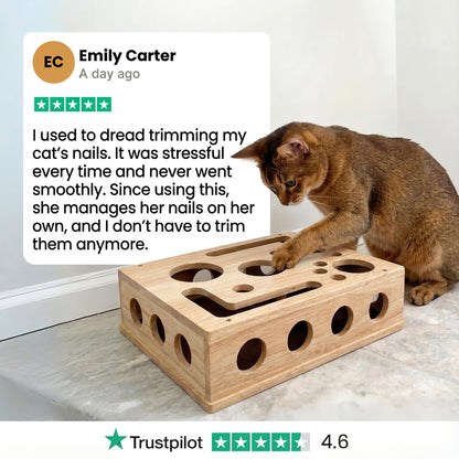 The KittyClaw™ Nail Care Kit