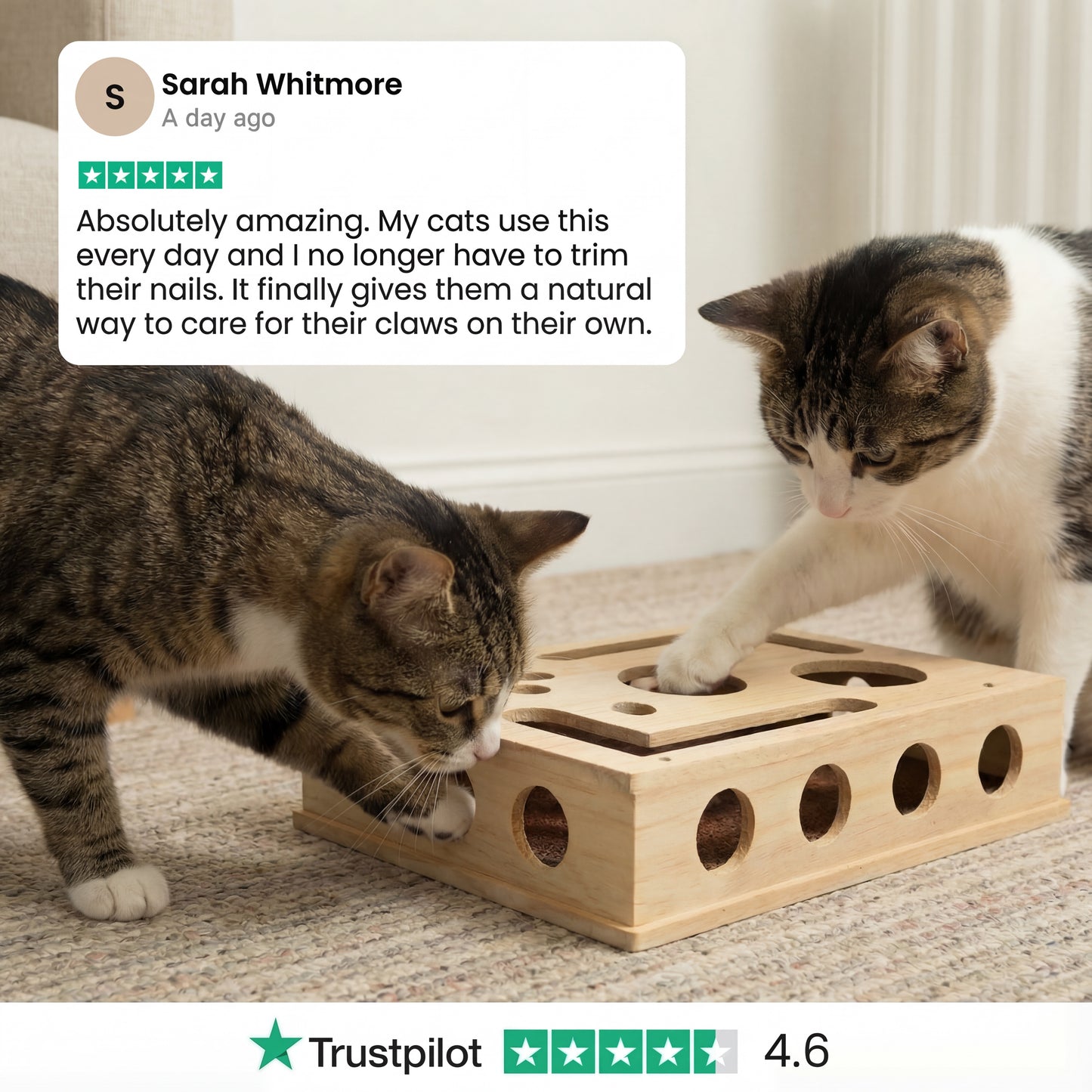 The KittyClaw™ Nail Care Kit