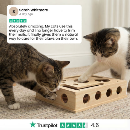 The KittyClaw™ Nail Care Kit